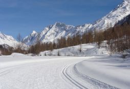 Winterwanderweg / Langlaufloipe Lötschental